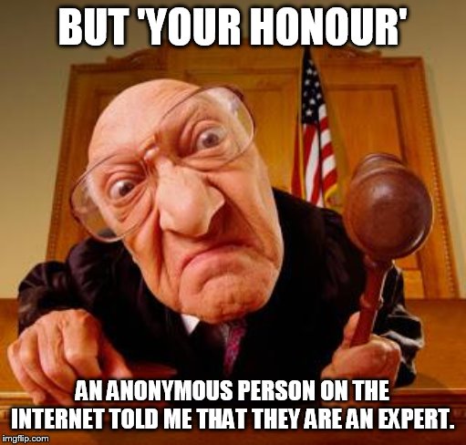 appeal to anonymous authority | BUT 'YOUR HONOUR' AN ANONYMOUS PERSON ON THE INTERNET TOLD ME THAT THEY ARE AN EXPERT. | image tagged in mean judge | made w/ Imgflip meme maker