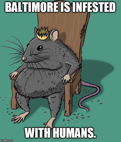 Rat King | BALTIMORE IS INFESTED WITH HUMANS. | image tagged in rat king | made w/ Imgflip meme maker