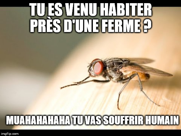 TU ES VENU HABITER PRÈS D'UNE FERME ? MUAHAHAHAHA TU VAS SOUFFRIR HUMAIN | made w/ Imgflip meme maker