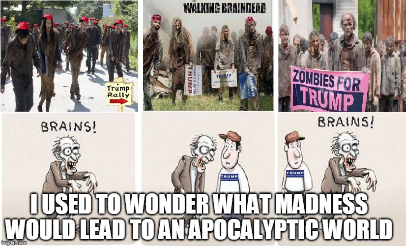 I used to wonder what madness would lead to an apocalyptic world | I USED TO WONDER WHAT MADNESS WOULD LEAD TO AN APOCALYPTIC WORLD | image tagged in trump,zombies,brain dead,apocalypse | made w/ Imgflip meme maker