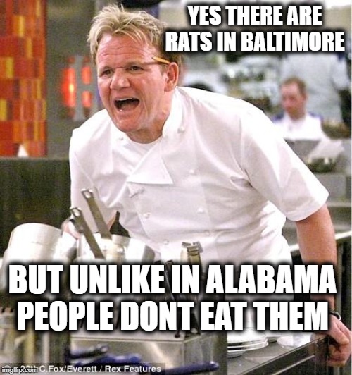 This country is just stupid | YES THERE ARE RATS IN BALTIMORE; BUT UNLIKE IN ALABAMA PEOPLE DONT EAT THEM | image tagged in memes,chef gordon ramsay,politics,ridiculous,maga,impeach trump | made w/ Imgflip meme maker
