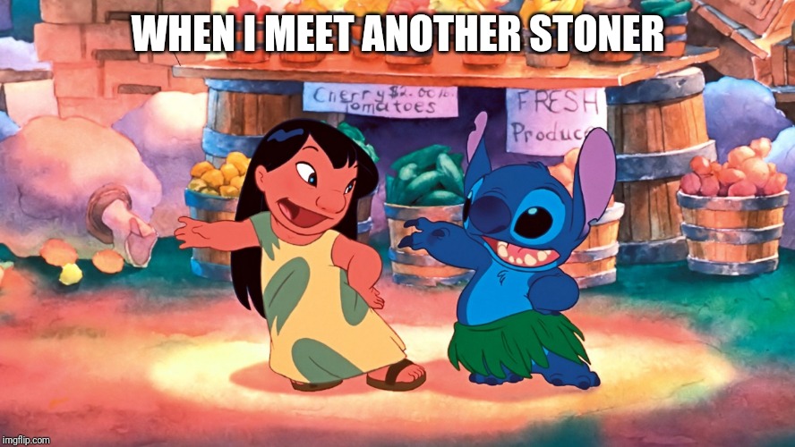 Lilo and stitch | WHEN I MEET ANOTHER STONER | image tagged in lilo and stitch | made w/ Imgflip meme maker