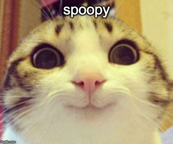 Spoopy Cat | spoopy | image tagged in spoopy cat | made w/ Imgflip meme maker