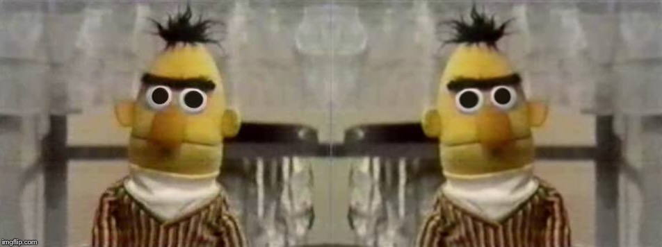 image tagged in bert stare,bert muppet what did i just see | made w/ Imgflip meme maker