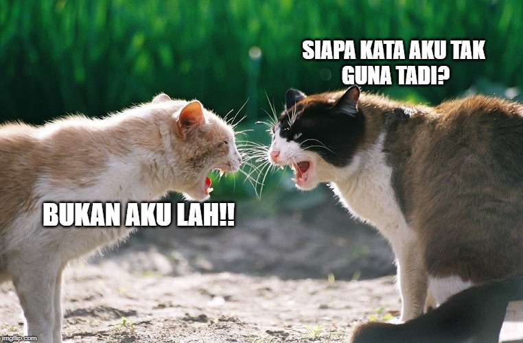  SIAPA KATA AKU TAK
 GUNA TADI? BUKAN AKU LAH!! | image tagged in cat fight | made w/ Imgflip meme maker