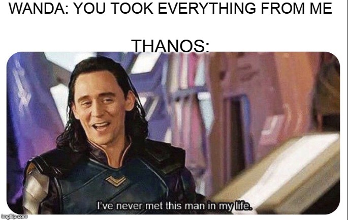 Never met this man in my life | WANDA: YOU TOOK EVERYTHING FROM ME; THANOS: | image tagged in never met this man in my life | made w/ Imgflip meme maker