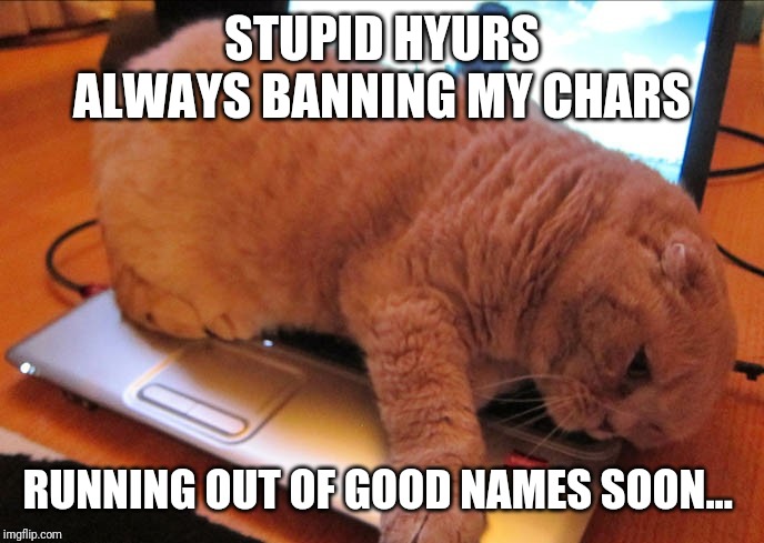 STUPID HYURS ALWAYS BANNING MY CHARS; RUNNING OUT OF GOOD NAMES SOON... | made w/ Imgflip meme maker