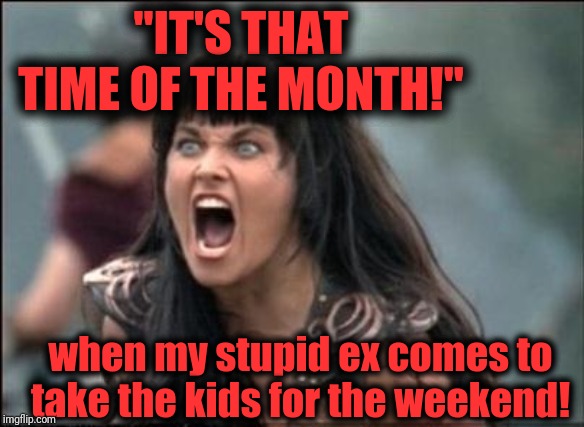 I don't know who to feel more bad for, her or the ex! lol | "IT'S THAT TIME OF THE MONTH!"; when my stupid ex comes to take the kids for the weekend! | image tagged in angry xena | made w/ Imgflip meme maker