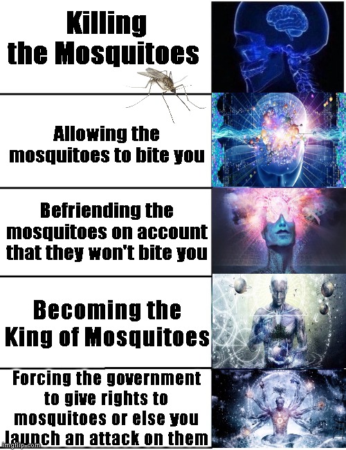 Expanding Brain 5 Panel | Killing the Mosquitoes; Allowing the mosquitoes to bite you; Befriending the mosquitoes on account that they won't bite you; Becoming the King of Mosquitoes; Forcing the government to give rights to mosquitoes or else you launch an attack on them | image tagged in expanding brain 5 panel | made w/ Imgflip meme maker