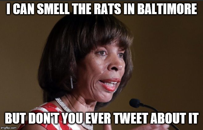 Accidental Truth | I CAN SMELL THE RATS IN BALTIMORE; BUT DON'T YOU EVER TWEET ABOUT IT | image tagged in mayor,baltimore,rats,democrats,donald trump,trump | made w/ Imgflip meme maker