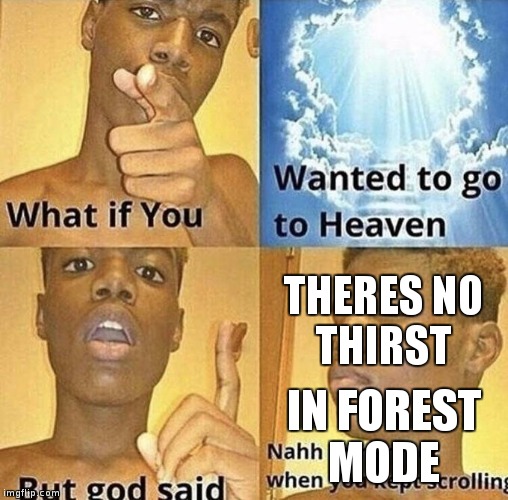 What If You Wanted To Go To Heaven | THERES NO
THIRST; IN FOREST
MODE | image tagged in what if you wanted to go to heaven | made w/ Imgflip meme maker