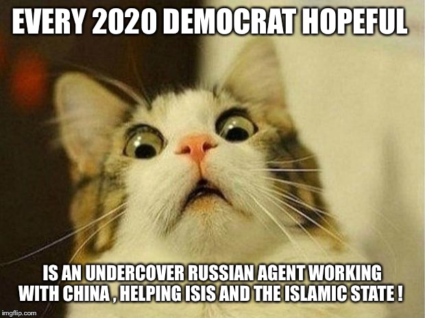 Scared Cat | EVERY 2020 DEMOCRAT HOPEFUL; IS AN UNDERCOVER RUSSIAN AGENT WORKING WITH CHINA , HELPING ISIS AND THE ISLAMIC STATE ! | image tagged in memes,scared cat | made w/ Imgflip meme maker