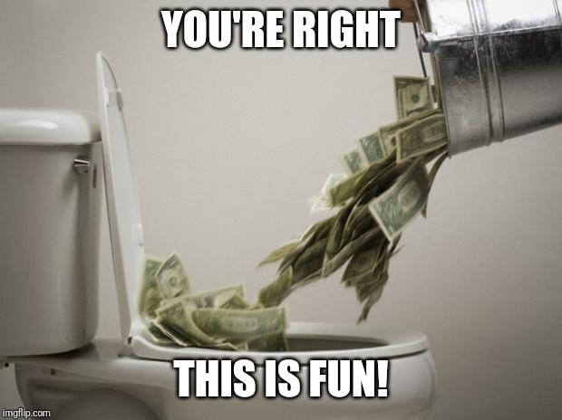 money down toilet | YOU'RE RIGHT THIS IS FUN! | image tagged in money down toilet | made w/ Imgflip meme maker