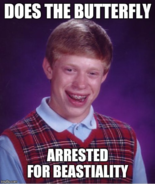 Bad Luck Brian Meme | DOES THE BUTTERFLY ARRESTED FOR BEASTIALITY | image tagged in memes,bad luck brian | made w/ Imgflip meme maker