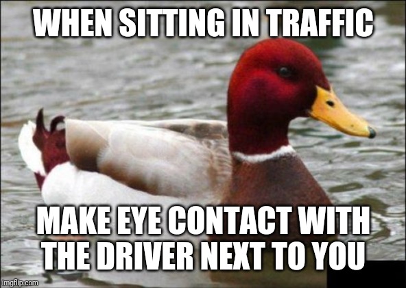 Malicious Advice Mallard | WHEN SITTING IN TRAFFIC; MAKE EYE CONTACT WITH THE DRIVER NEXT TO YOU | image tagged in memes,malicious advice mallard | made w/ Imgflip meme maker