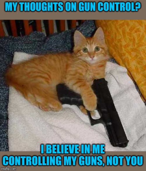 MY THOUGHTS ON GUN CONTROL? I BELIEVE IN ME CONTROLLING MY GUNS, NOT YOU | made w/ Imgflip meme maker