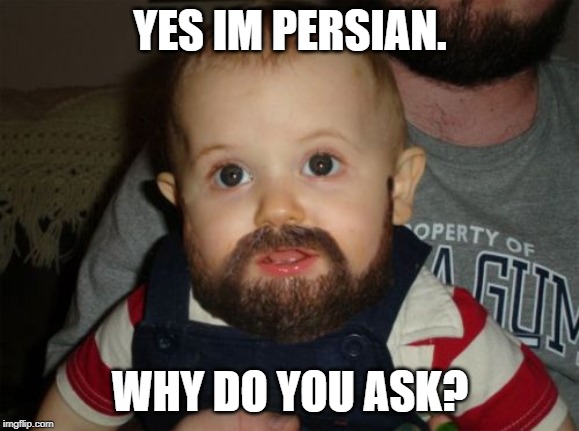 Beard Baby Meme | YES IM PERSIAN. WHY DO YOU ASK? | image tagged in memes,beard baby | made w/ Imgflip meme maker