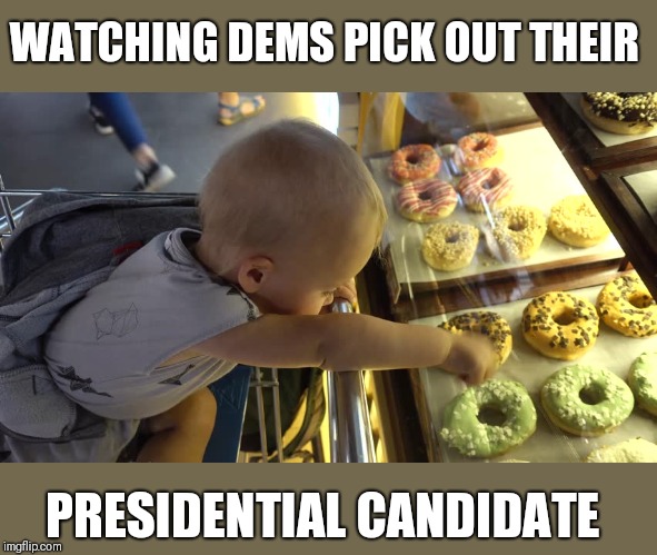 Have they yet? | WATCHING DEMS PICK OUT THEIR; PRESIDENTIAL CANDIDATE | image tagged in funny memes | made w/ Imgflip meme maker