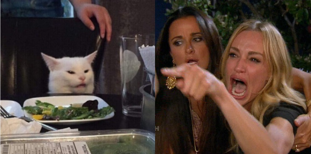 Cat Eating Dinner Meme