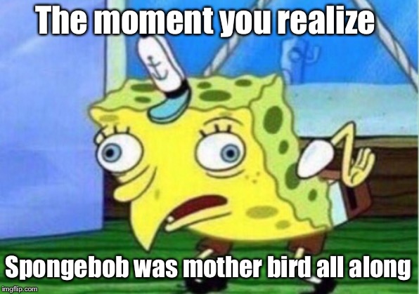 Mocking Spongebob | The moment you realize; Spongebob was mother bird all along | image tagged in memes,mocking spongebob | made w/ Imgflip meme maker