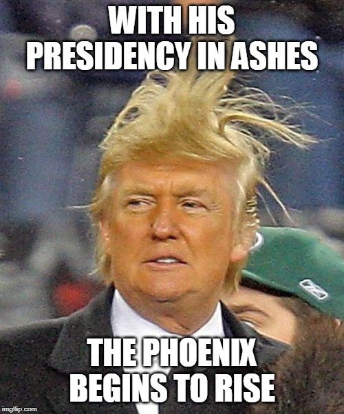 WITH HIS PRESIDENCY IN ASHES; THE PHOENIX BEGINS TO RISE | image tagged in donald trump,trump | made w/ Imgflip meme maker
