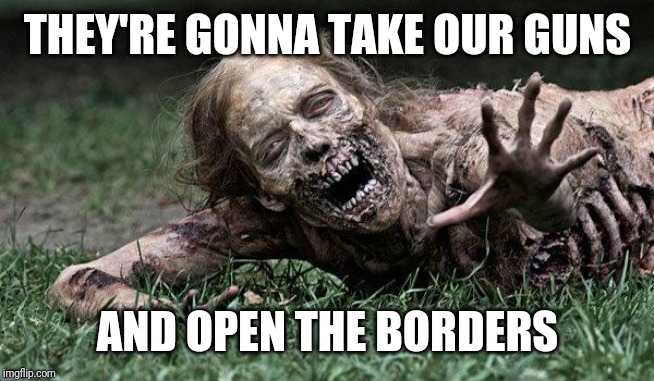 Walking Dead Zombie | THEY'RE GONNA TAKE OUR GUNS AND OPEN THE BORDERS | image tagged in walking dead zombie | made w/ Imgflip meme maker