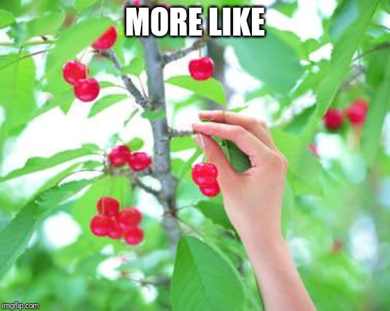 Cherry picking  | MORE LIKE | image tagged in cherry picking | made w/ Imgflip meme maker