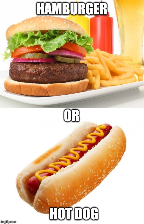 HAMBURGER; OR; HOT DOG | image tagged in hot dog,hamburger | made w/ Imgflip meme maker