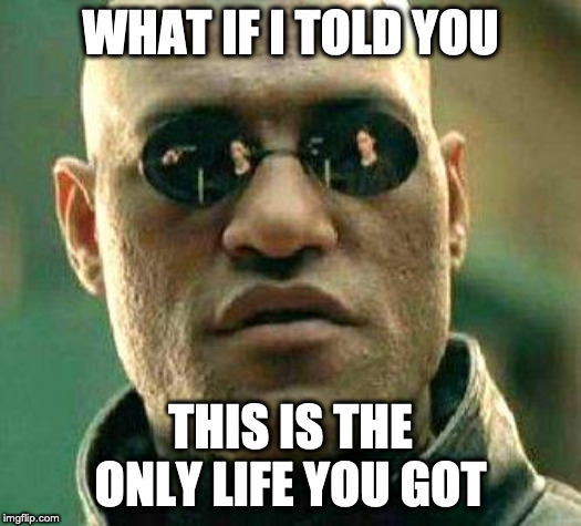 What if i told you | WHAT IF I TOLD YOU; THIS IS THE ONLY LIFE YOU GOT | image tagged in what if i told you | made w/ Imgflip meme maker