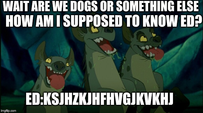 lion king hyenas | WAIT ARE WE DOGS OR SOMETHING ELSE; HOW AM I SUPPOSED TO KNOW ED? ED:KSJHZKJHFHVGJKVKHJ | image tagged in lion king hyenas | made w/ Imgflip meme maker