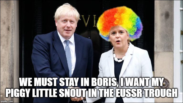 Sturgeon | WE MUST STAY IN BORIS, I WANT MY PIGGY LITTLE SNOUT IN THE EUSSR TROUGH | image tagged in sturgeon | made w/ Imgflip meme maker