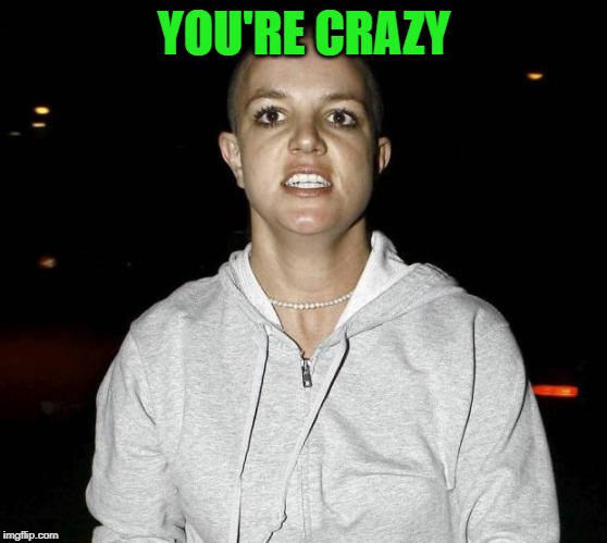crazy bald britney spears | YOU'RE CRAZY | image tagged in crazy bald britney spears | made w/ Imgflip meme maker