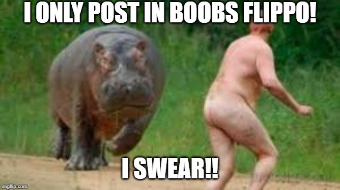 I ONLY POST IN BOOBS FLIPPO! I SWEAR!! | made w/ Imgflip meme maker