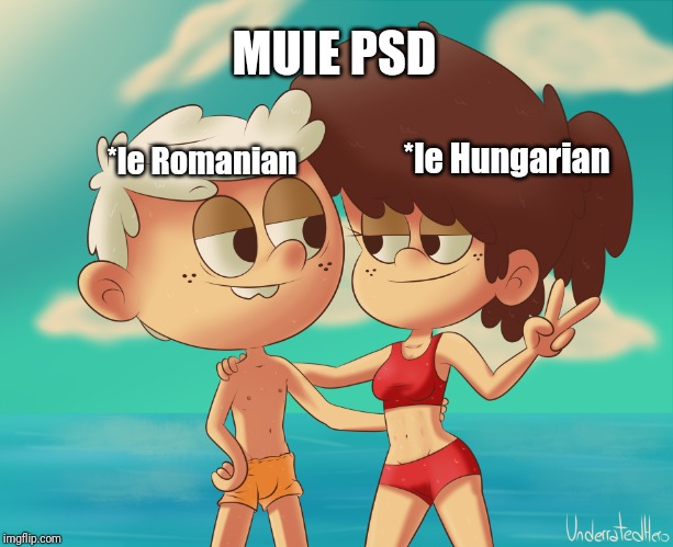 Even Hungarians hate psd... | MUIE PSD; *le Hungarian; *le Romanian | image tagged in memes,funny,the loud house,romania,hungary,muie psd | made w/ Imgflip meme maker