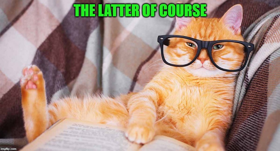 Smart cat | THE LATTER OF COURSE | image tagged in smart cat | made w/ Imgflip meme maker