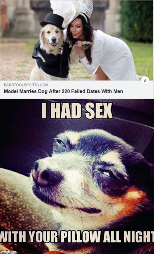 Before He Cheats... | image tagged in wedding,funny dogs | made w/ Imgflip meme maker