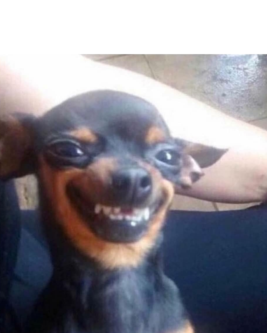 High Quality Laughing dog Blank Meme Template