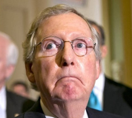Sad Turtle Face Blank Meme Template