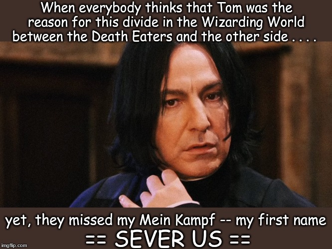 "When the enemy is hiding in plain sight." | When everybody thinks that Tom was the reason for this divide in the Wizarding World between the Death Eaters and the other side . . . . yet, they missed my Mein Kampf -- my first name; == SEVER US == | image tagged in harry potter meme | made w/ Imgflip meme maker