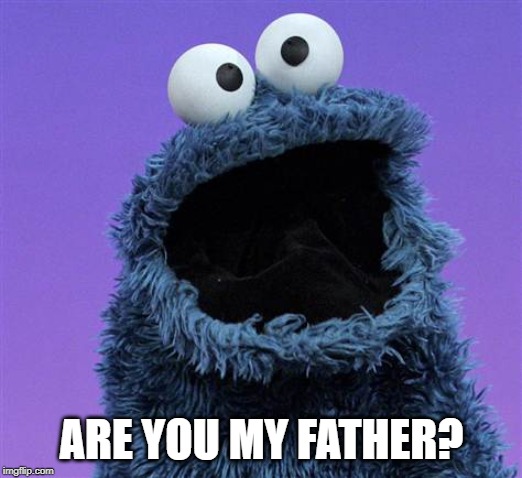 cookie monster | ARE YOU MY FATHER? | image tagged in cookie monster | made w/ Imgflip meme maker