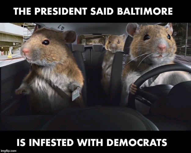 Can anybody deny this? | THE PRESIDENT SAID BALTIMORE; IS INFESTED WITH DEMOCRATS | image tagged in rats driving,baltimore,democrats,trump | made w/ Imgflip meme maker