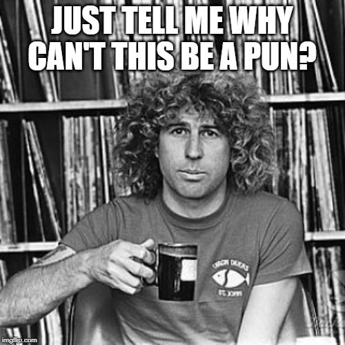 sammy hagar | JUST TELL ME WHY CAN'T THIS BE A PUN? | image tagged in sammy hagar | made w/ Imgflip meme maker