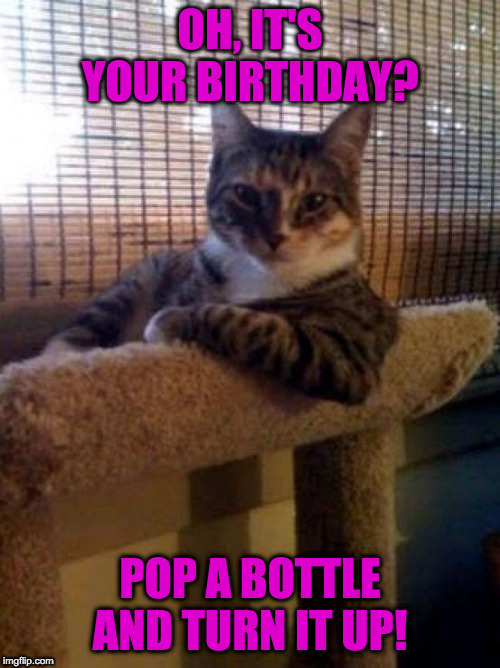 The Most Interesting Cat In The World Meme | OH, IT'S YOUR BIRTHDAY? POP A BOTTLE AND TURN IT UP! | image tagged in memes,the most interesting cat in the world | made w/ Imgflip meme maker