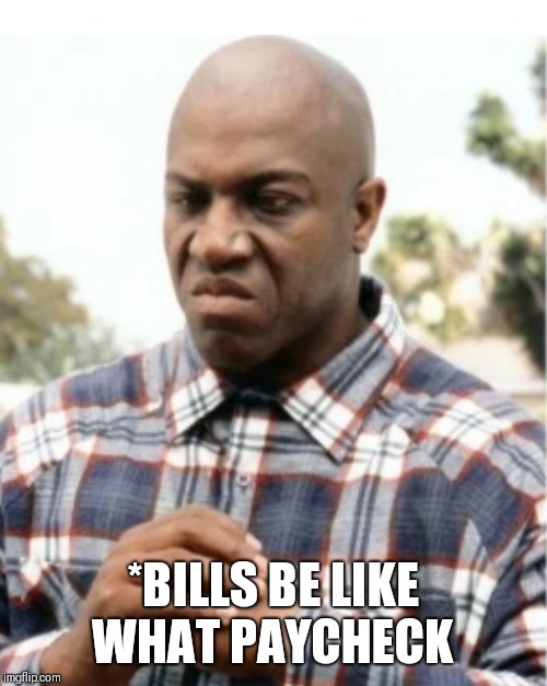 What Paycheck! | *BILLS BE LIKE WHAT PAYCHECK | image tagged in debo friday | made w/ Imgflip meme maker