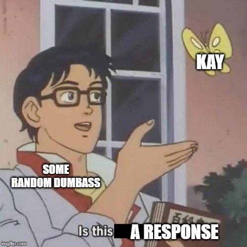 Is This A blank | KAY A RESPONSE SOME RANDOM DUMBASS | image tagged in is this a blank | made w/ Imgflip meme maker