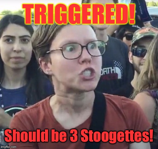 Triggered feminist | TRIGGERED! Should be 3 Stoogettes! | image tagged in triggered feminist | made w/ Imgflip meme maker