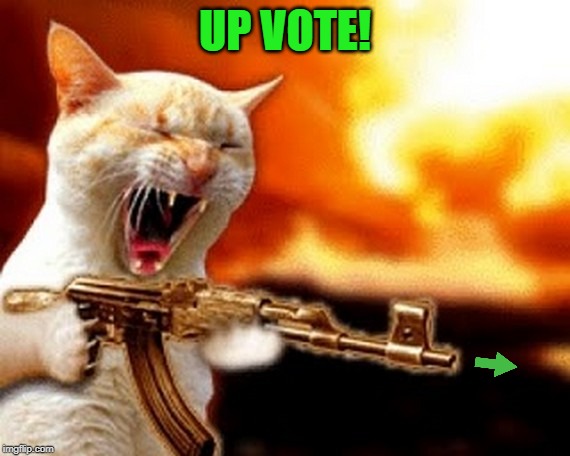 machine gun cat | UP VOTE! | image tagged in machine gun cat | made w/ Imgflip meme maker
