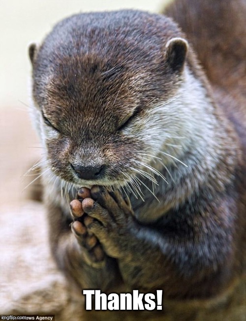 Thank you Lord Otter | Thanks! | image tagged in thank you lord otter | made w/ Imgflip meme maker
