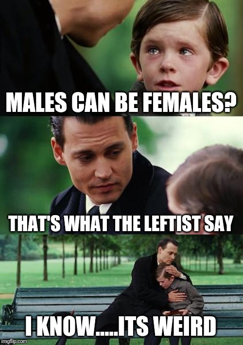 Finding Neverland |  MALES CAN BE FEMALES? THAT'S WHAT THE LEFTIST SAY; I KNOW.....ITS WEIRD | image tagged in memes,finding neverland | made w/ Imgflip meme maker