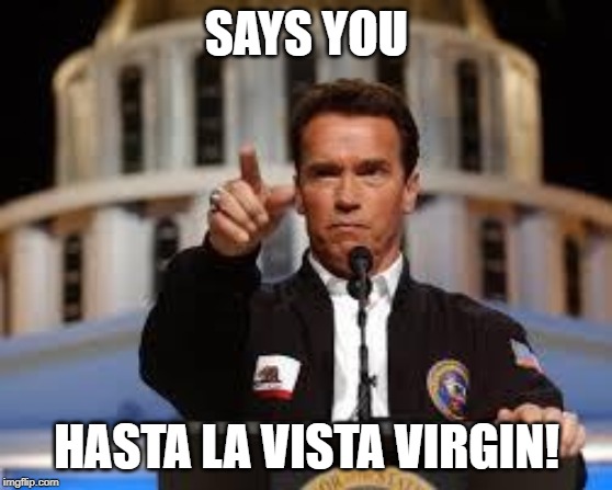 Arnold says you are wrong | SAYS YOU HASTA LA VISTA VIRGIN! | image tagged in arnold says you are wrong | made w/ Imgflip meme maker